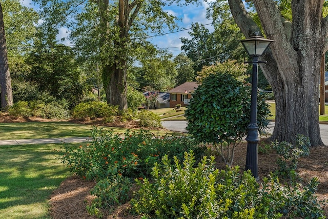 3406 Seminole Dr, Columbus, GA 31907 - view of green lawn