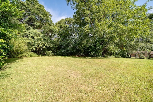 544 Lee Road 0230, Phenix City, AL 36870 - photo 38