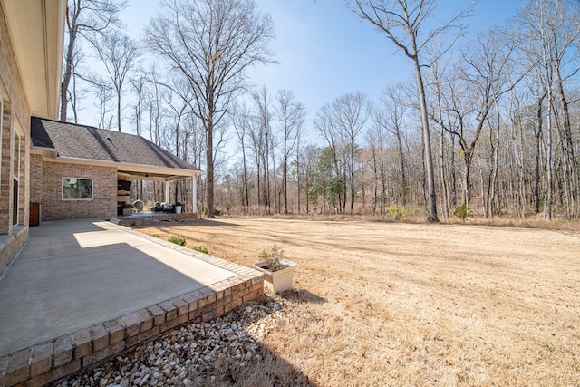 view of yard with a patio area