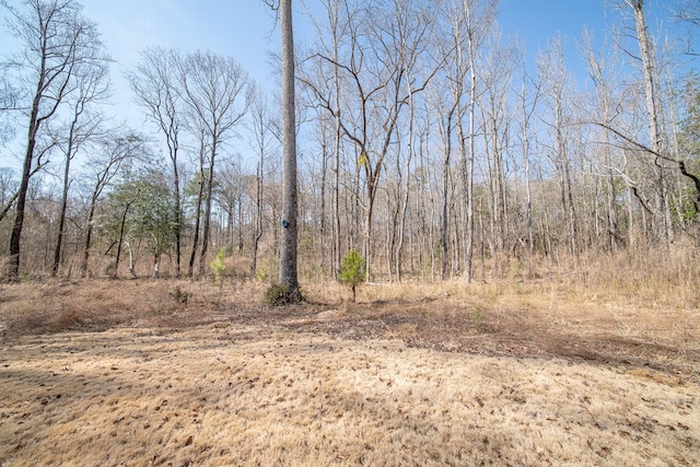 view of local wilderness