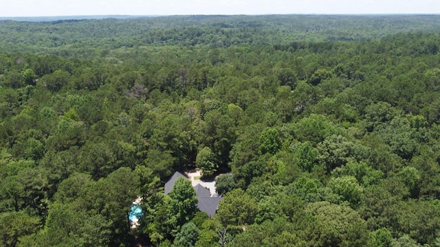 9250-11 River Rd, Fortson, GA 31808 - aerial overview of property's location with a heavily wooded area