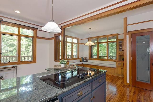 9250-11 River Rd, Fortson, GA 31808 - kitchen featuring black electric stovetop, light wood-style floors, healthy amount of natural light, pendant lighting, and recessed lighting