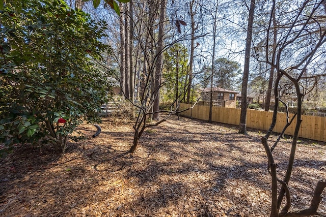 view of yard featuring fence