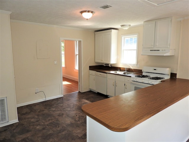 1346 22nd St, Columbus, GA 31901 - kitchen featuring white appliances, under cabinet range hood, healthy amount of natural light, electric panel, and ornamental molding