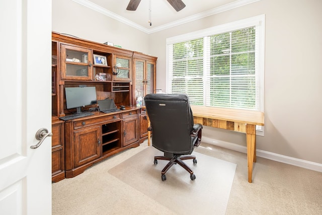 1438 Grove Park Dr Unit 8B, Columbus, GA 31904 - office with light colored carpet, ornamental molding, ceiling fan, and baseboards