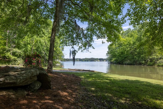 view of water feature