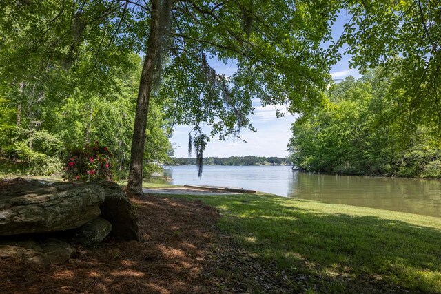5410 River Oak Way, Phenix City, AL 36867 - water view