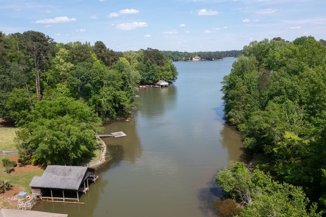 water view featuring a dock