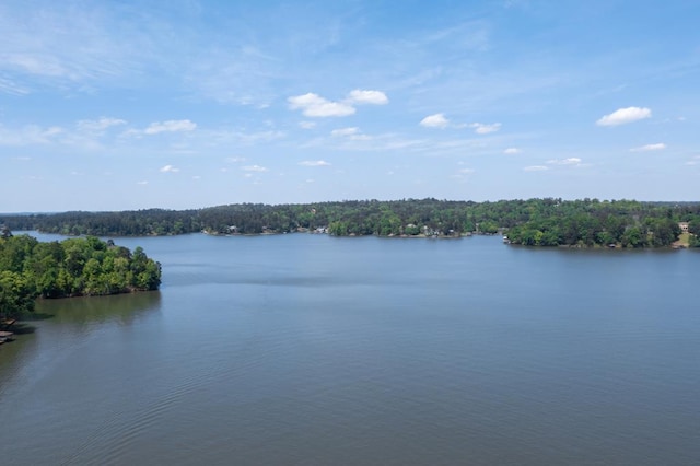 5410 River Oak Way, Phenix City, AL 36867 - water view