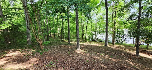 view of landscape featuring a wooded view