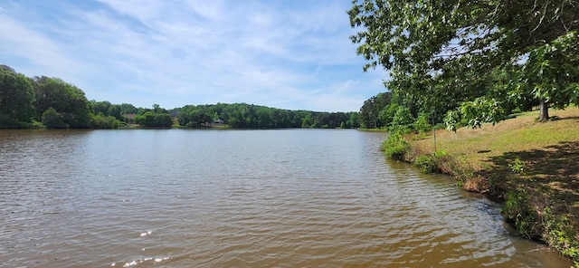 property view of water with a wooded view