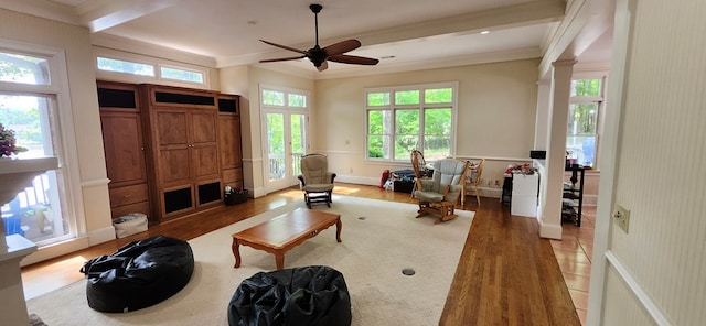 living area with ornamental molding, ceiling fan, wood finished floors, and beamed ceiling