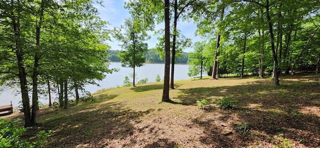 view of yard with a water view