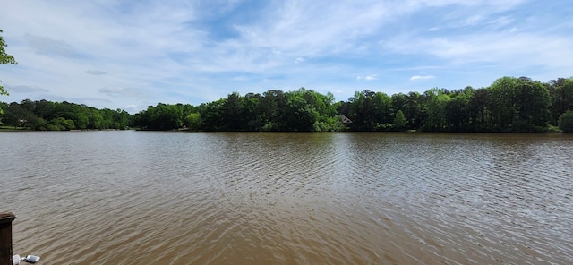 view of water feature featuring a wooded view