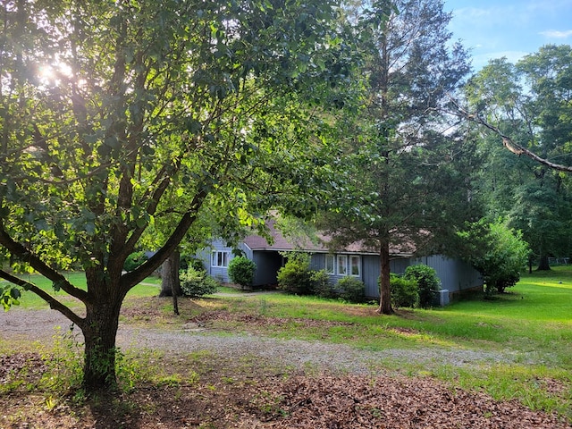 7505 Beaver Run Rd, Midland, GA 31820 - view of grassy yard