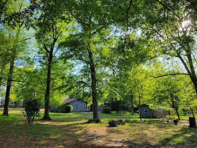 7505 Beaver Run Rd, Midland, GA 31820 - view of grassy yard featuring a shed