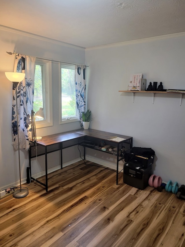 7505 Beaver Run Rd, Midland, GA 31820 - office area with ornamental molding and wood finished floors
