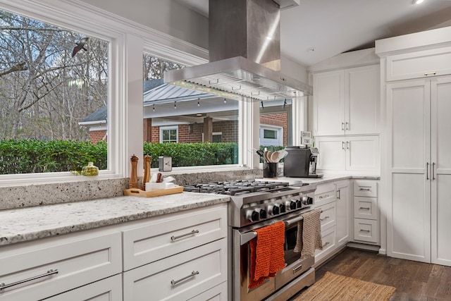 kitchen featuring stainless steel range, plenty of natural light, and island exhaust hood