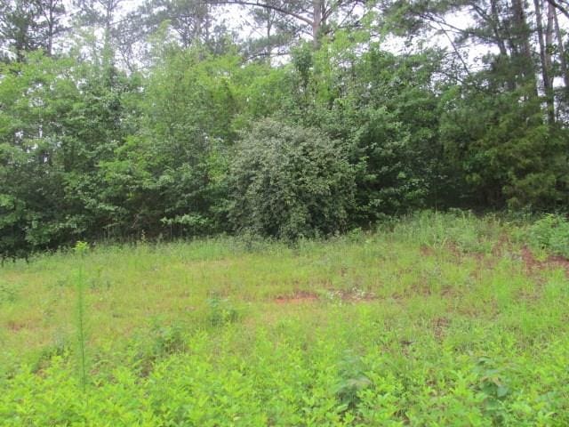 909 Red Fox Ct, Cataula, GA 31804 - photo 1