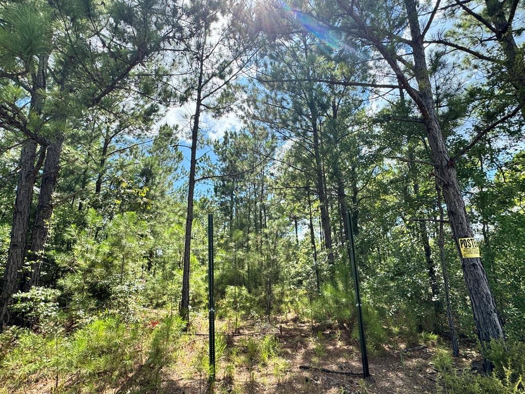 410 Firetower Rd, Cusseta, GA 31805 - photo 1