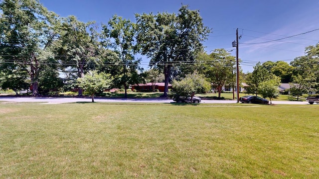 1820 Overlook St, Columbus, GA 31906 - view of green lawn