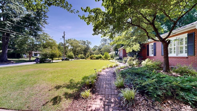 1820 Overlook St, Columbus, GA 31906 - view of green lawn