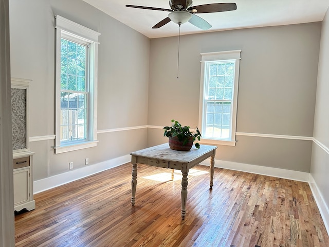 home office with ceiling fan and light wood-type flooring