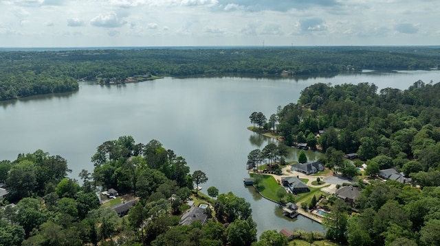 drone / aerial view with a water view and a view of trees