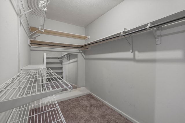 spacious closet featuring carpet floors