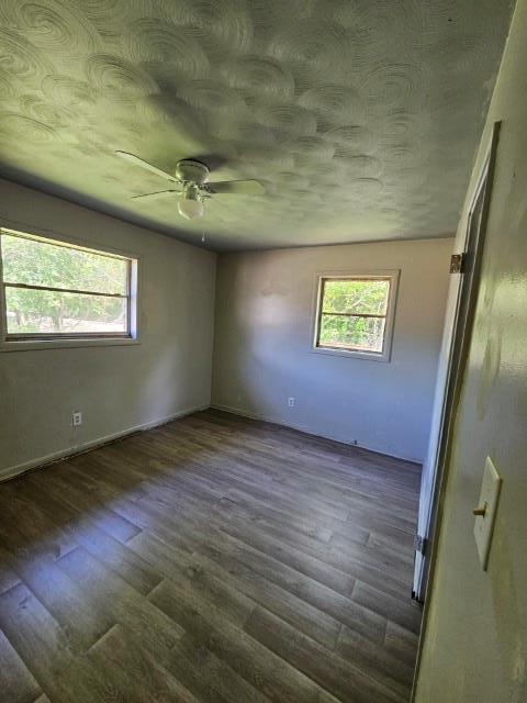 empty room featuring a healthy amount of sunlight and dark wood-type flooring