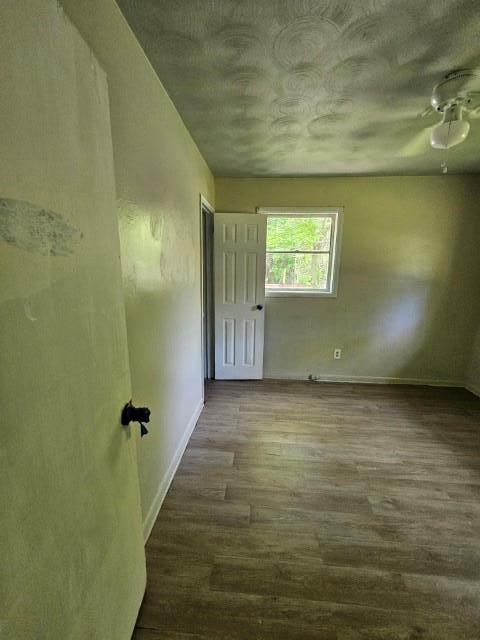 empty room featuring dark hardwood / wood-style flooring