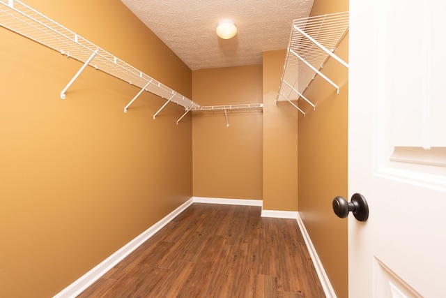 spacious closet featuring wood finished floors