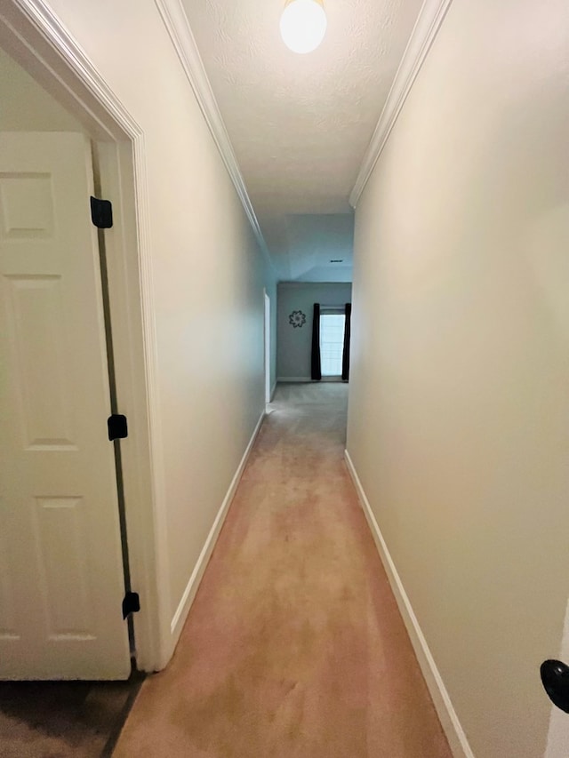 4628 Sears Rd, Columbus, GA 31907 - photo 41