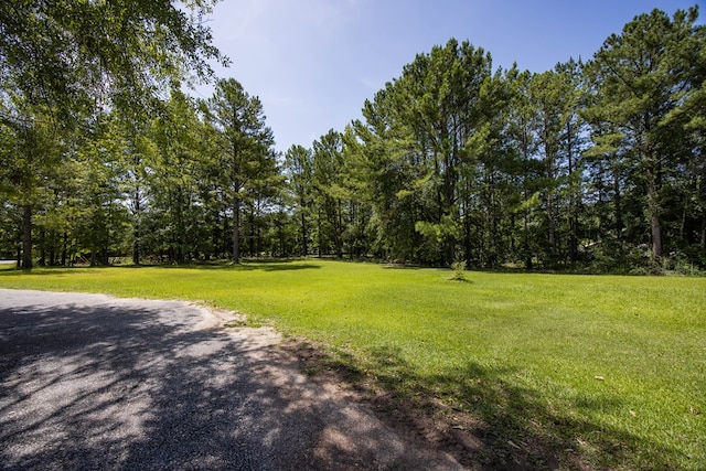 49 Lee Road 0537, Salem, AL 36874 - photo 4