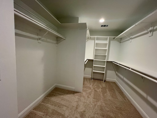 spacious closet with light colored carpet