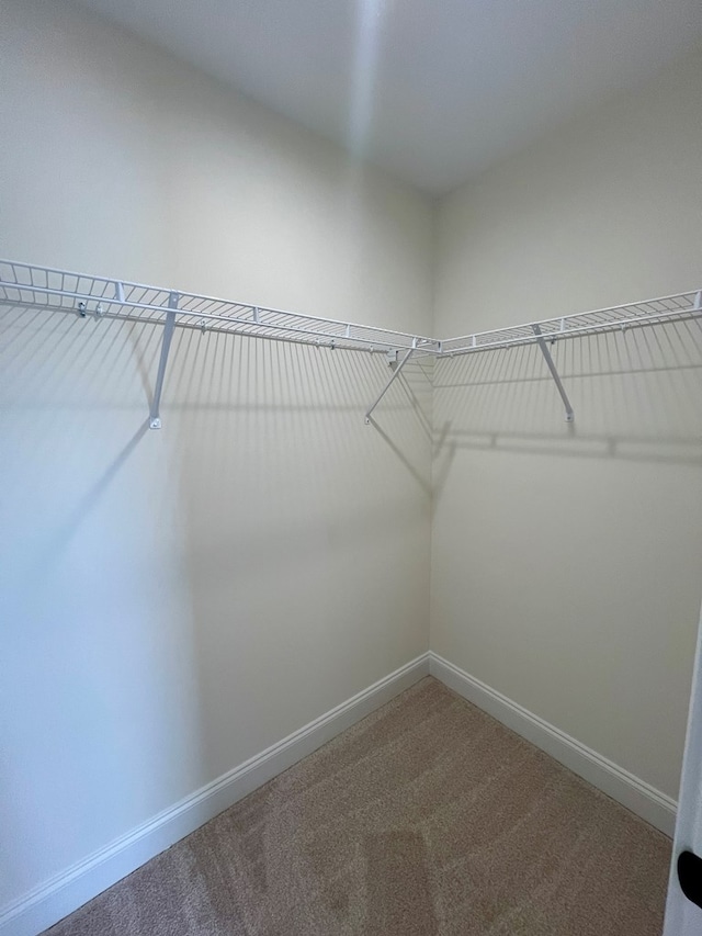 spacious closet with carpet