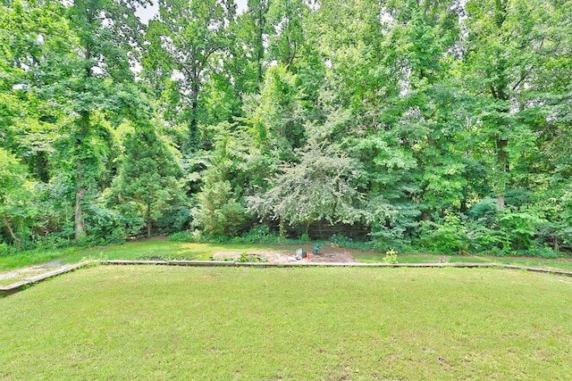 7177 Helen Dr, Columbus, GA 31904 - view of green lawn