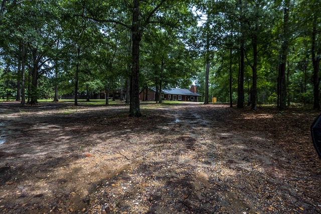 25 Gas Line Rd, Phenix City, AL 36870 - photo 52