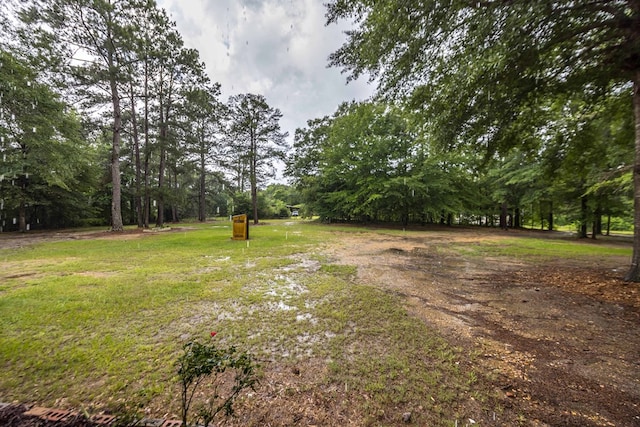 25 Gas Line Rd, Phenix City, AL 36870 - photo 31