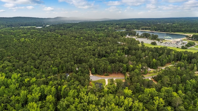 59 Parkview Ct, Pine Mountain, GA 31822 - photo 48