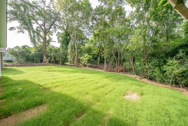 6900 Forrest Rd, Columbus, GA 31907 - view of green lawn