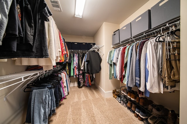 spacious closet with light carpet