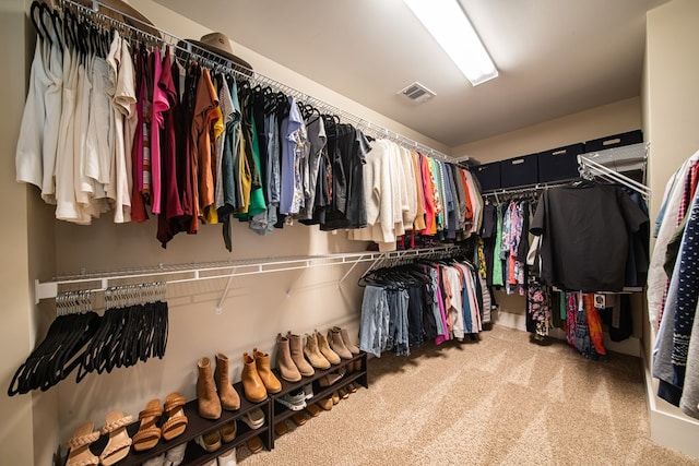 spacious closet with light carpet