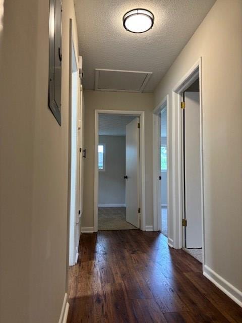 5435 Mariner Dr, Columbus, GA 31909 - corridor with wood finished floors, healthy amount of natural light, and a textured ceiling