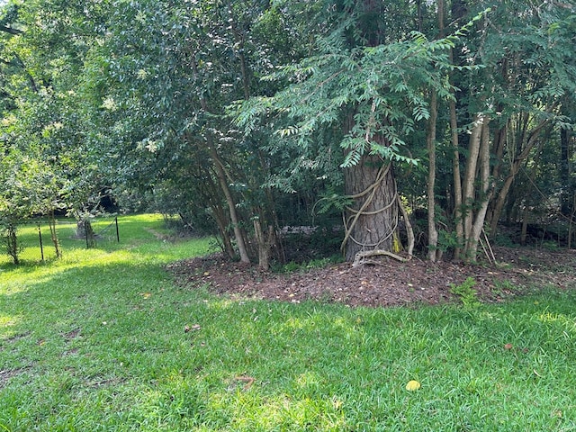 2821 Barbara Rd, Columbus, GA 31907 - view of green lawn