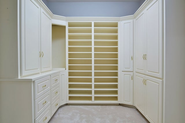 spacious closet featuring light colored carpet