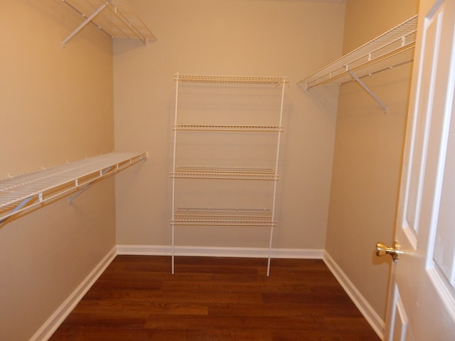 walk in closet with wood finished floors