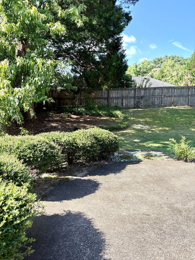 5302 Pine Needle Dr, Columbus, GA 31907 - view of yard
