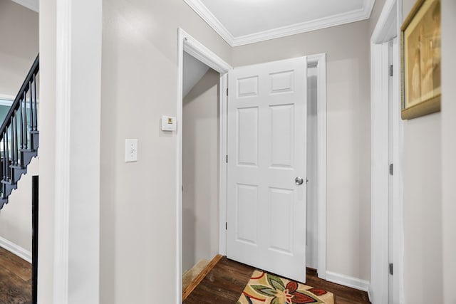 corridor with dark hardwood / wood-style flooring and crown molding