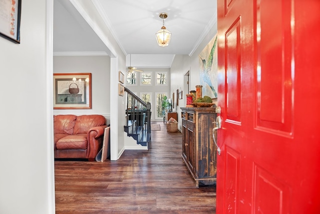 entryway featuring dark hardwood / wood-style flooring and ornamental molding